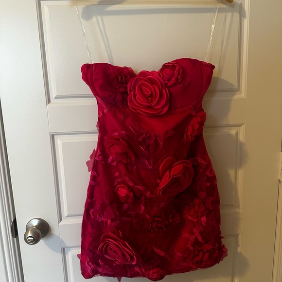 Fashion Nova Dress - Picture 7 of 7